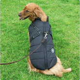Reflective All-Weather Dog Jacket