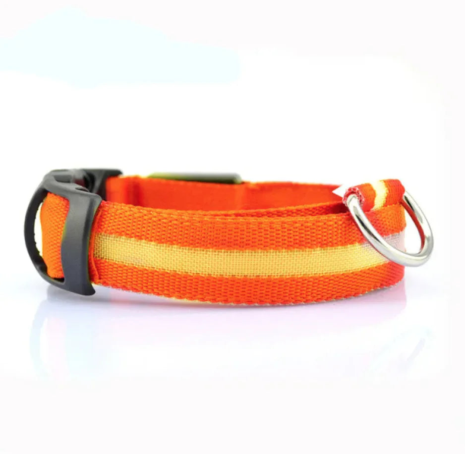 Bright Trail LED Pet Collar