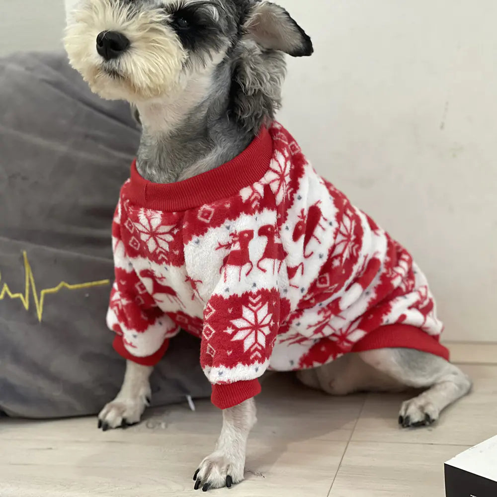 Festive Red Padded Pet Sweater