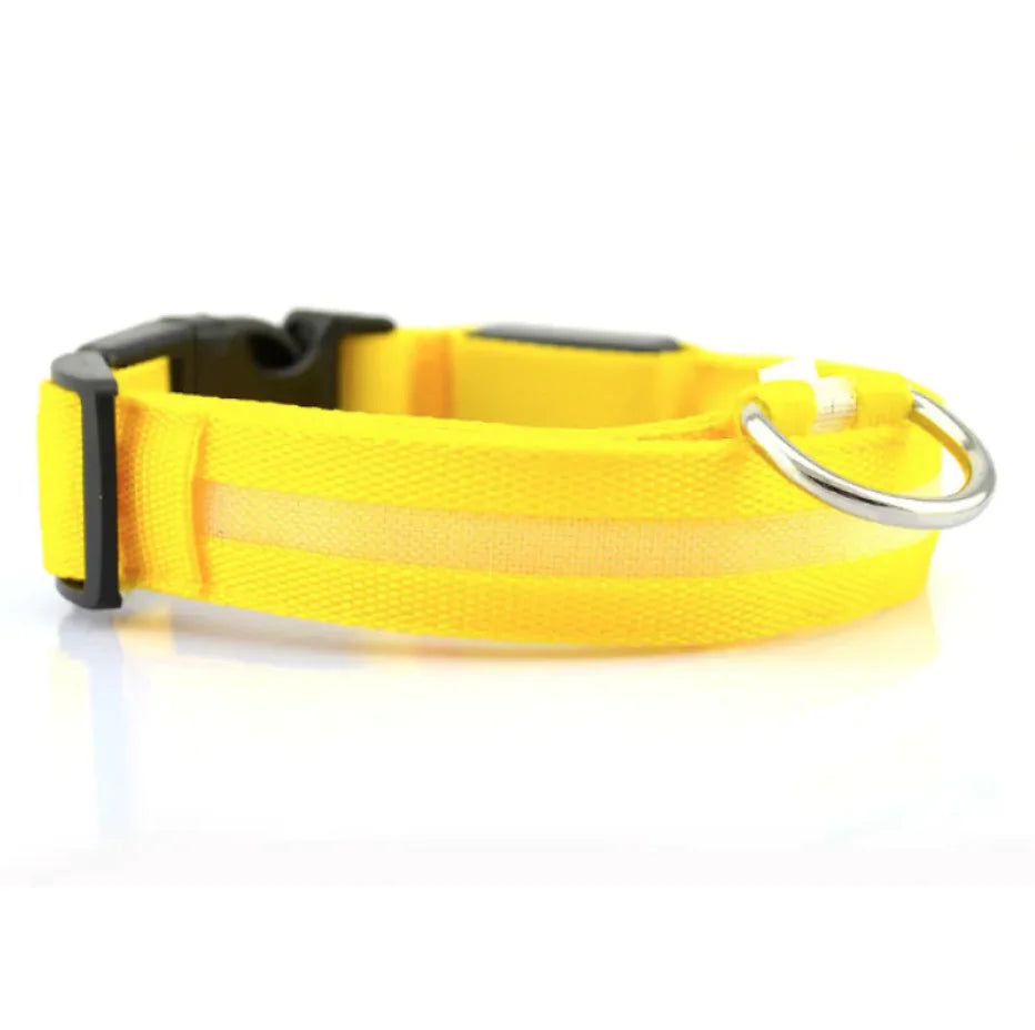 Bright Trail LED Pet Collar