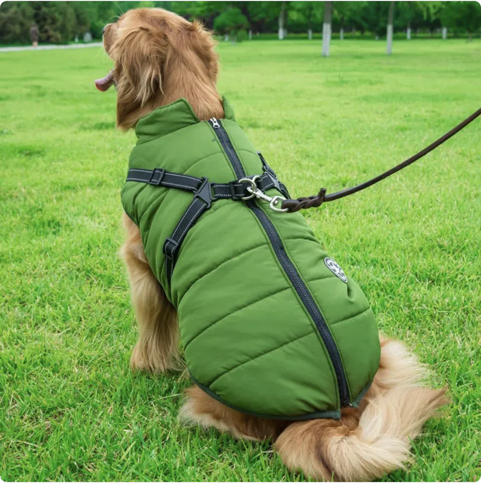Reflective All-Weather Dog Jacket