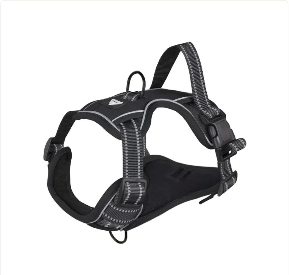 NightRider™ Glow Harness Set