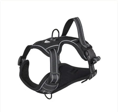 NightRider™ Glow Harness Set