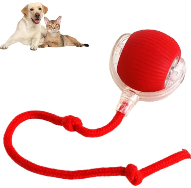 ZoomPup™ Smart Motion Play Ball