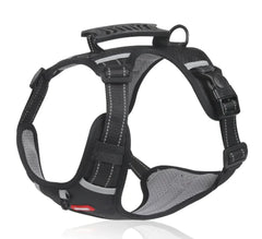 NightRider™ Glow Harness Set