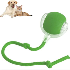 ZoomPup™ Smart Motion Play Ball