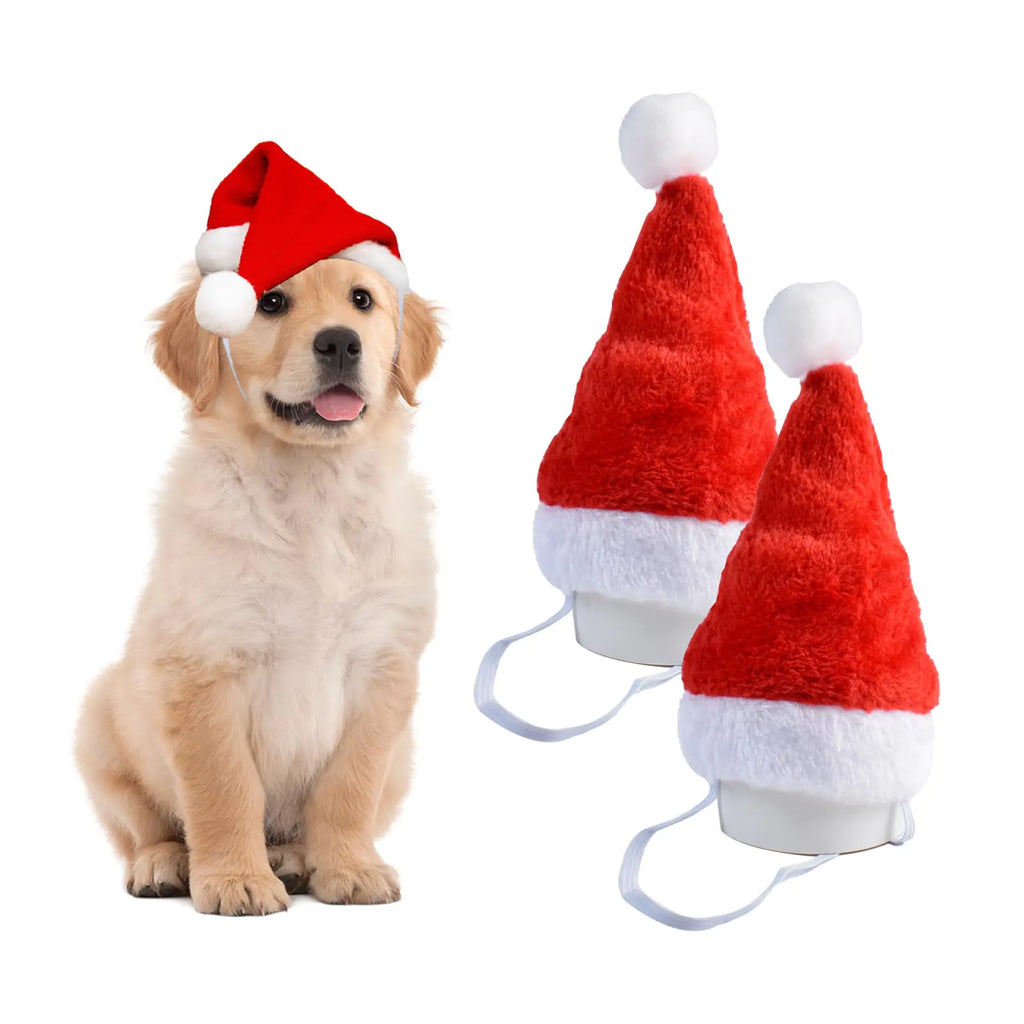Mini Santa Pup Cap