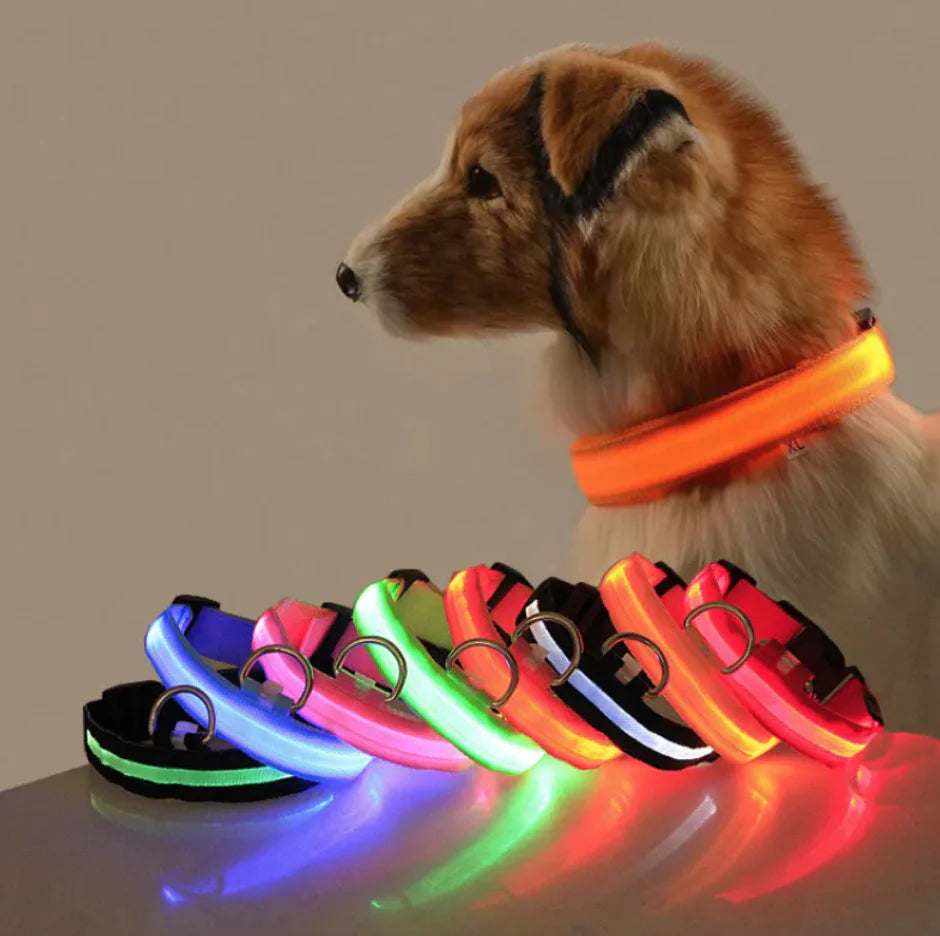 Bright Trail LED Pet Collar