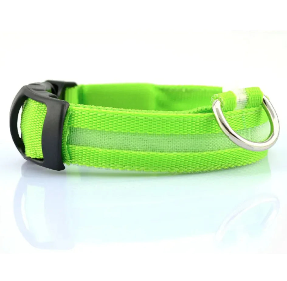Bright Trail LED Pet Collar