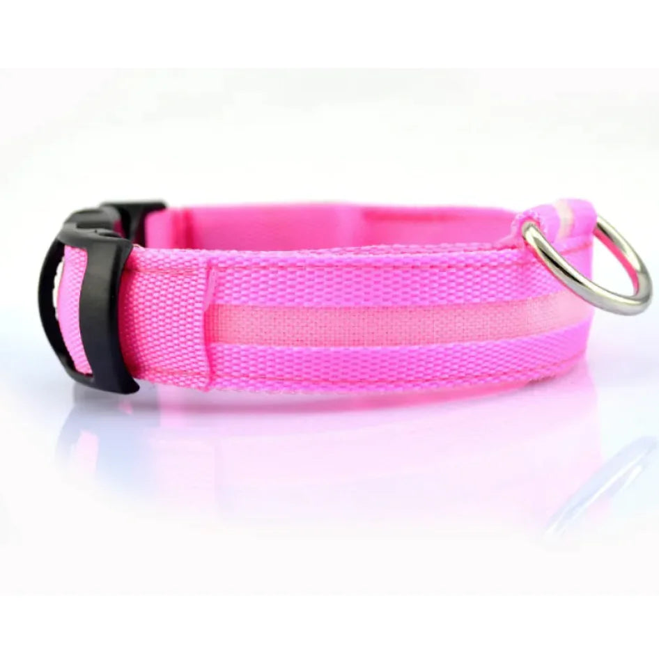 Bright Trail LED Pet Collar