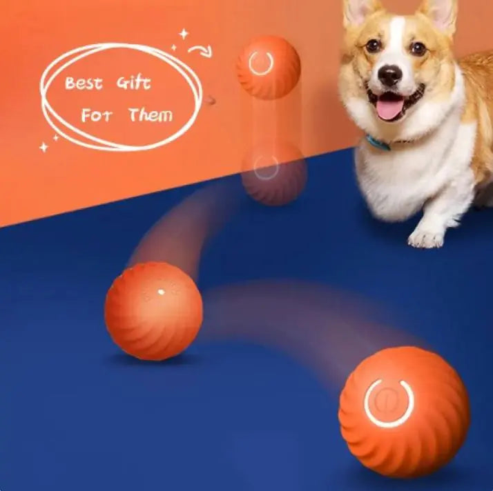 Chewy Fun Rubber Dog Ball