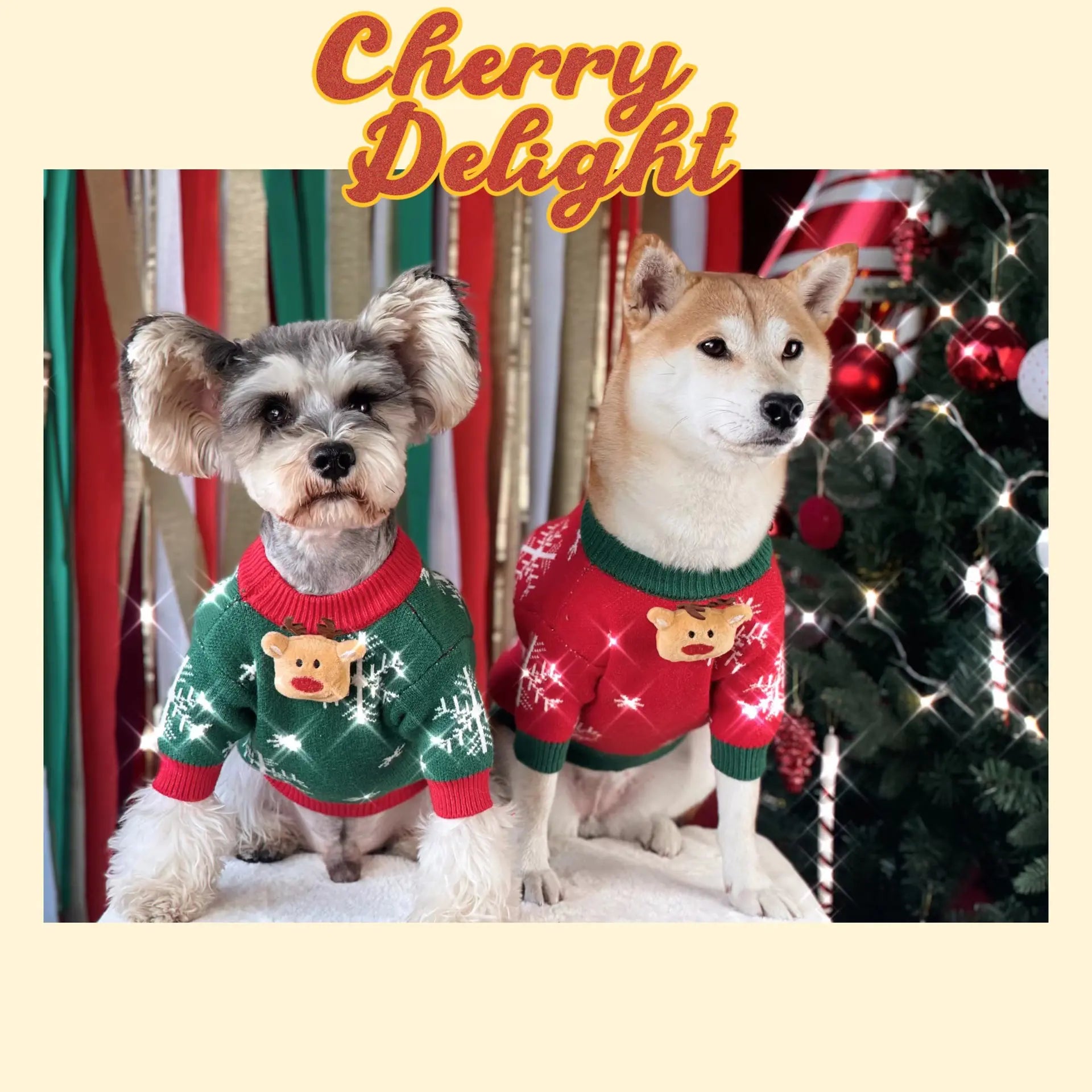 Cozy Holiday Dog Pullover