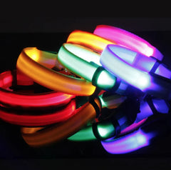 Bright Trail LED Pet Collar
