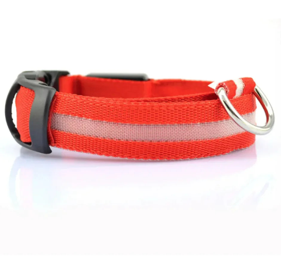 Bright Trail LED Pet Collar