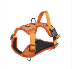 NightRider™ Glow Harness Set