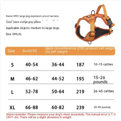 NightRider™ Glow Harness Set