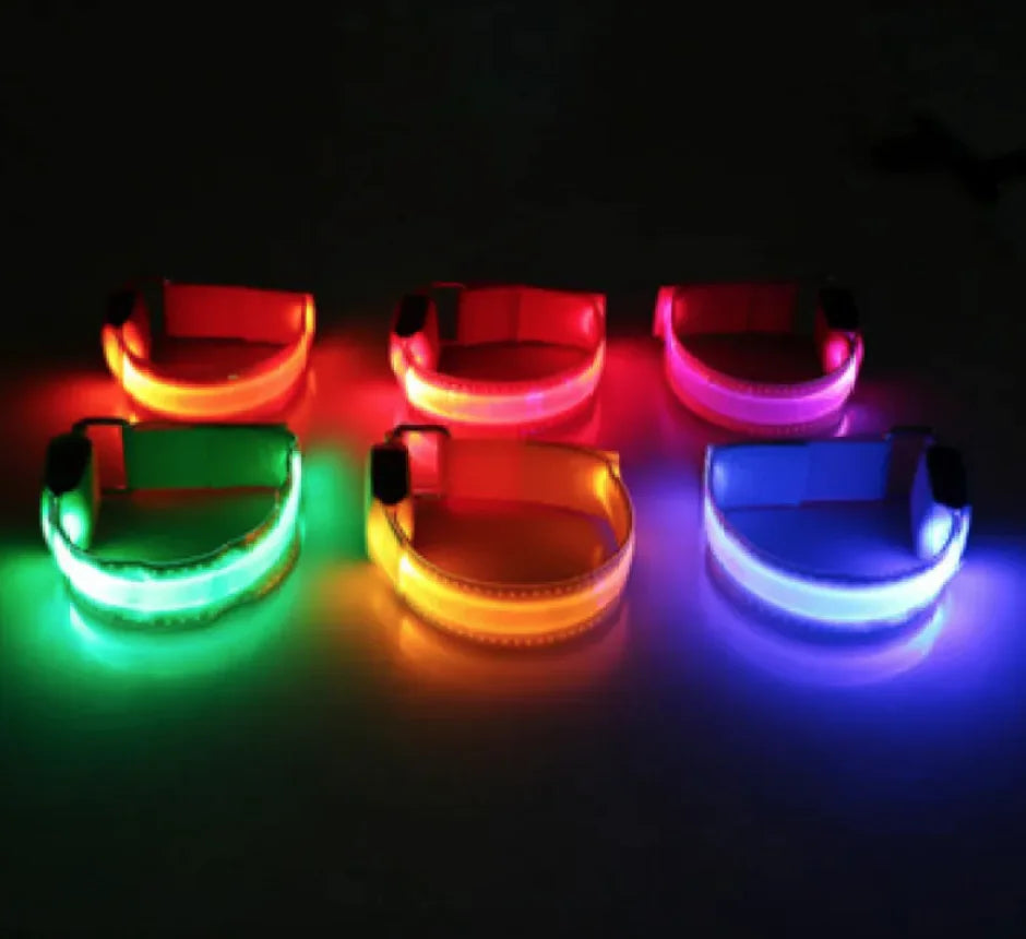 Bright Trail LED Pet Collar