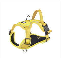 NightRider™ Glow Harness Set