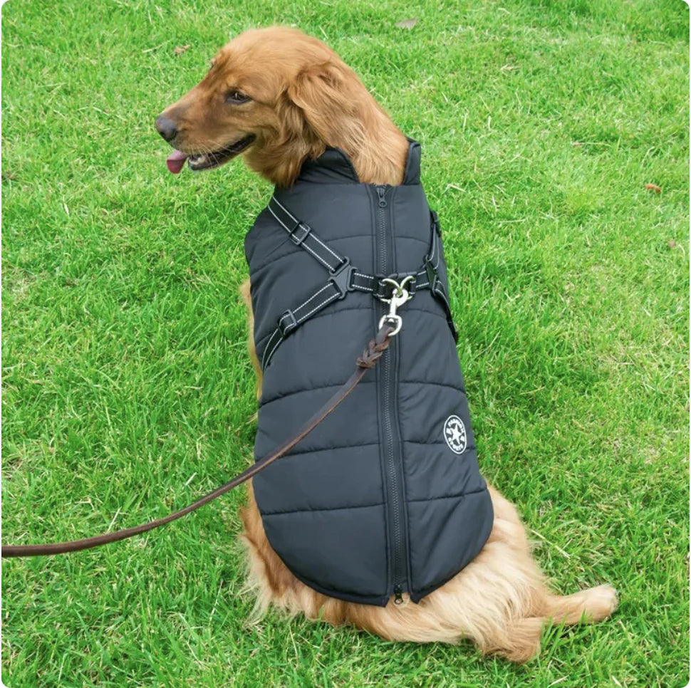 Reflective All-Weather Dog Jacket