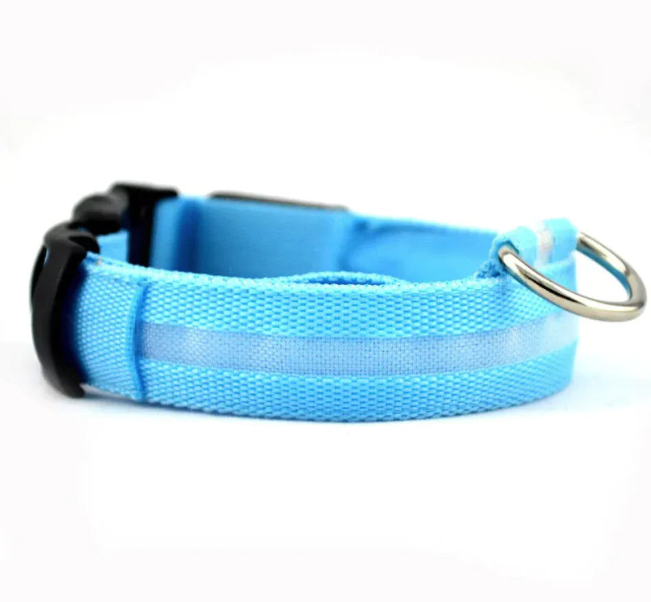 Bright Trail LED Pet Collar